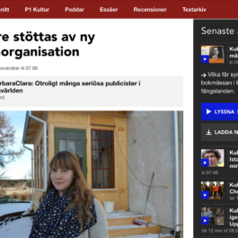 Sveriges Radio P1 - Bloggare stöttas av ny branschorganisation